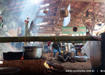 Queima do Alho Haras Vale dos Sonhos